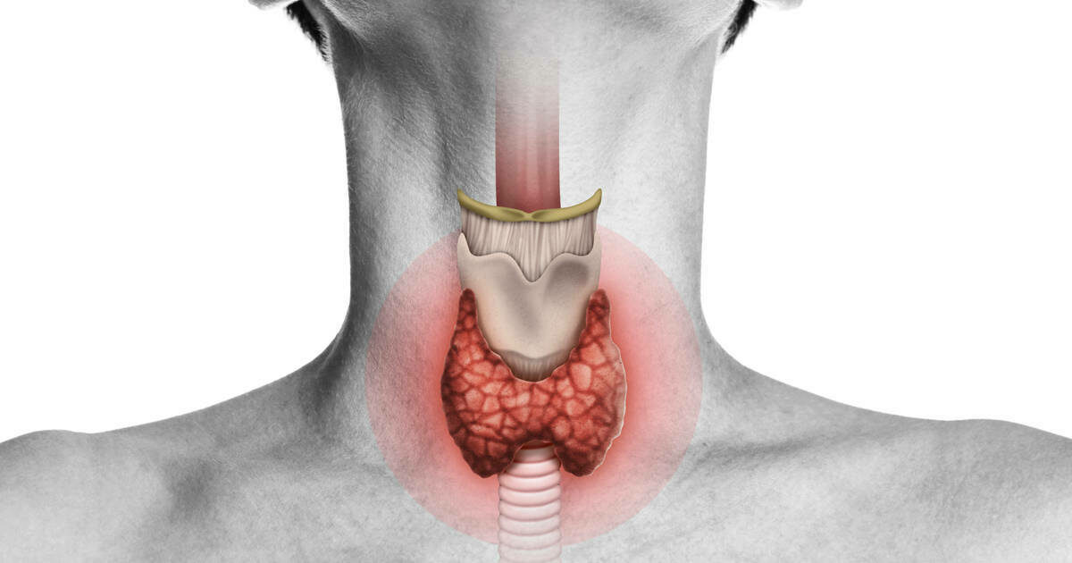 Cary Gastroenterology Associates The Impact of Thyroid Disease on